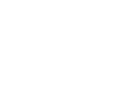 Tenuta Leone